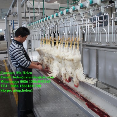 Halal 300-500 chickens/h slaughtering abattoir, poultry slaughting line, chicken processing machines