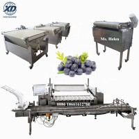 Big capacity blueberry sorting machine, blueberry packing machine, blueberry packing line