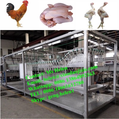 Fully stainless steel 300-500 chickens/h slaughtering line, halal chicken abattoir, poultry slaughter line